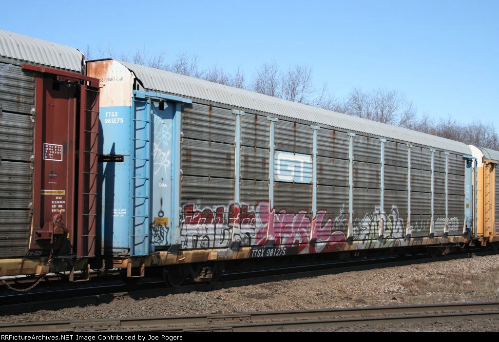 TTGX 981275