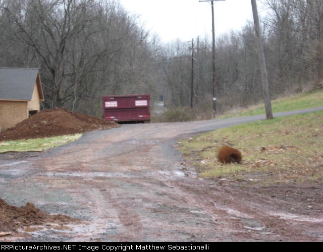 Dumpster on the Branch