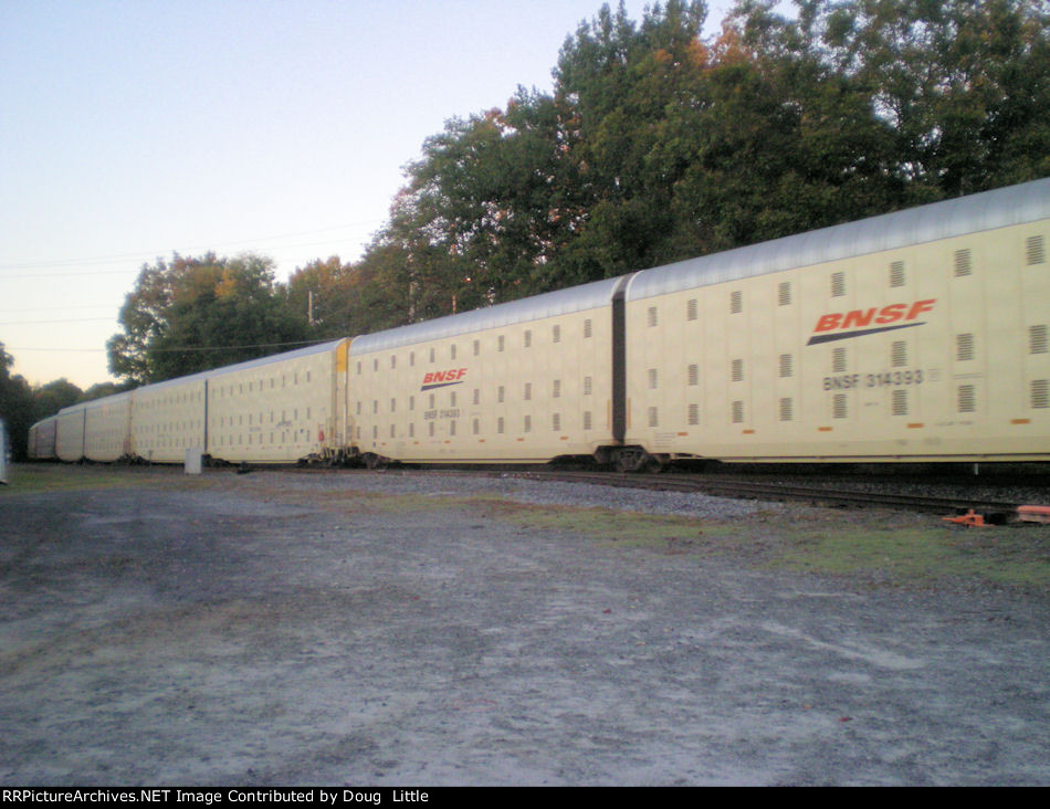BNSF 314393