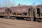 DMIR 51379
