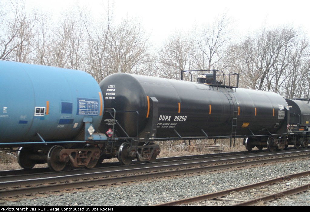 DUPX 29250
