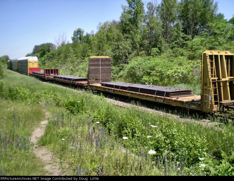 TTPX 804713