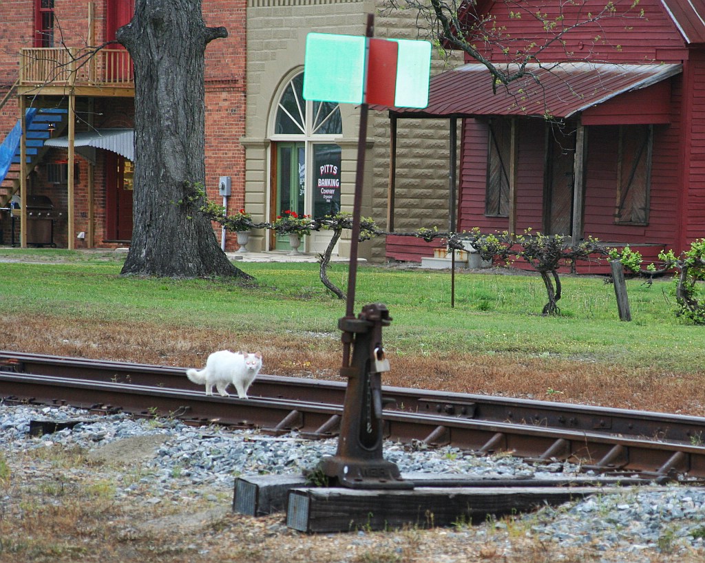 NARCOA motorcar run on HOG
