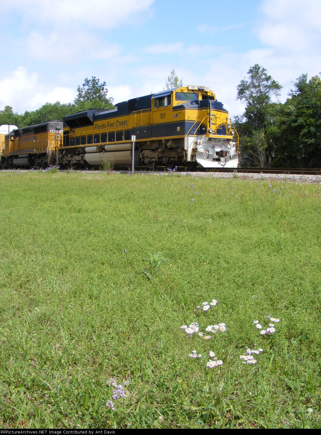 Florida Wildflowers and FECs 101