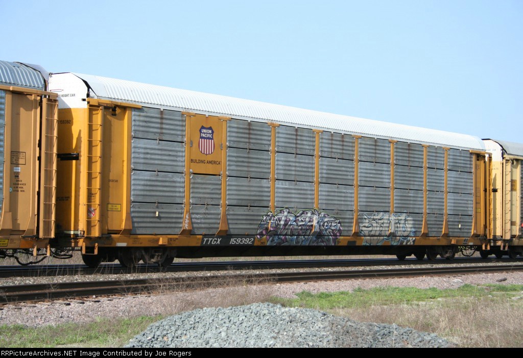 TTGX 159392