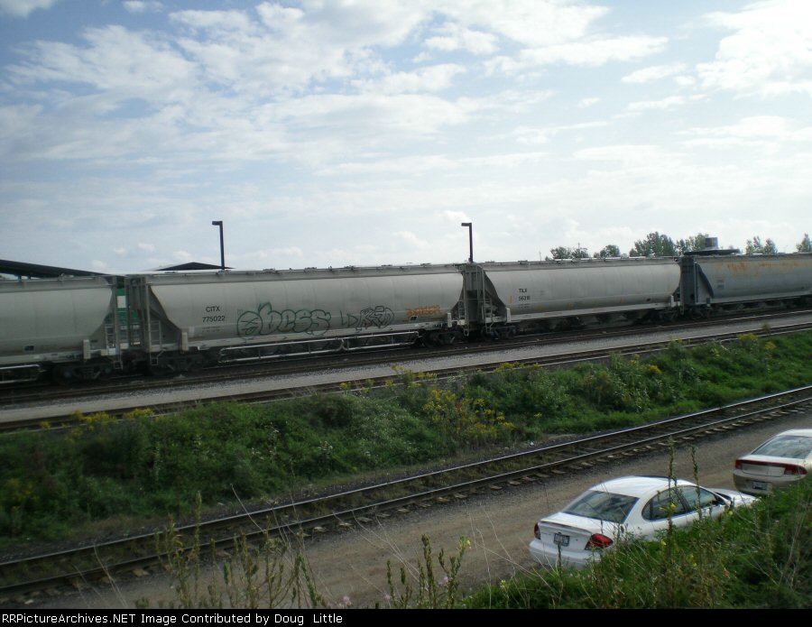 CITX 775022