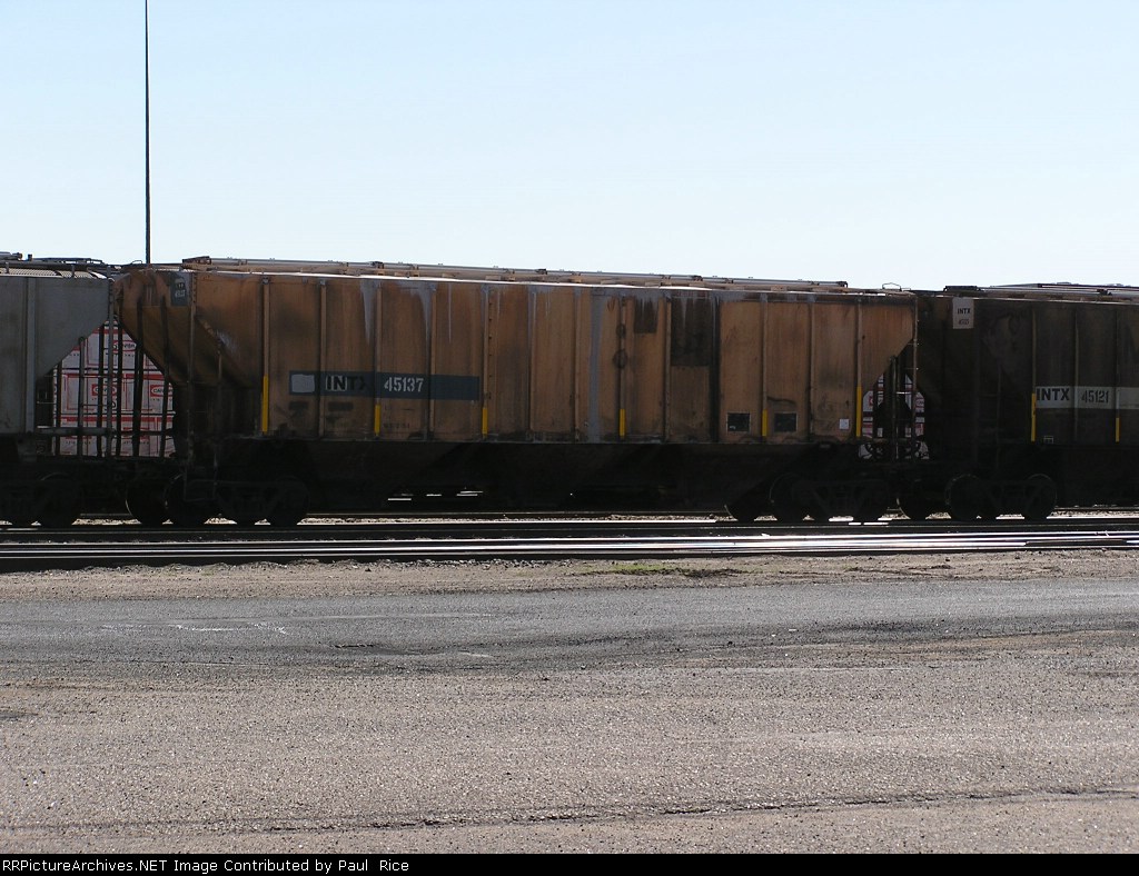 INTX 45137