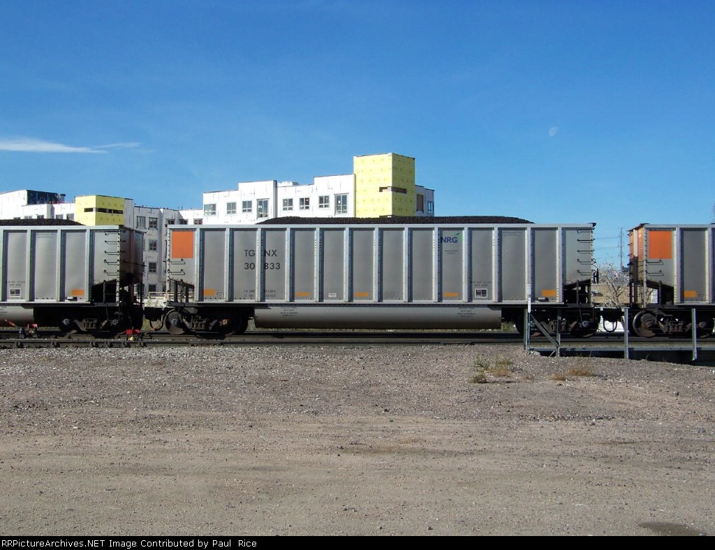 TGNX 30833