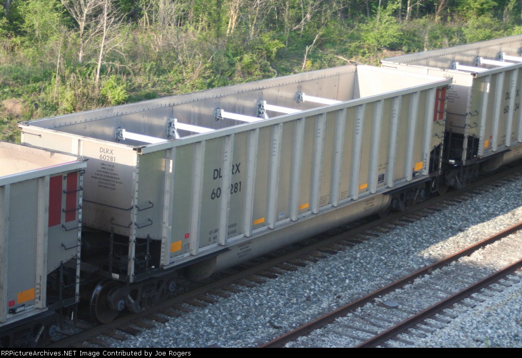 DLRX 60281