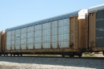 TTGX 991802