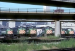 BN 9904