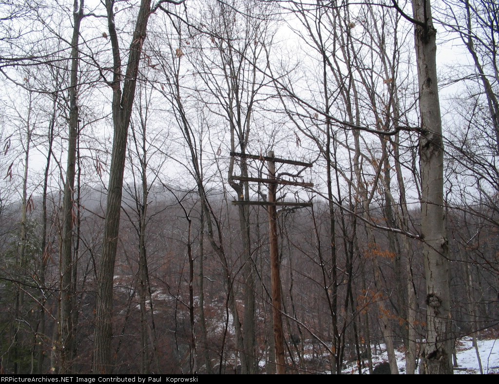 Old Telegraph Pole