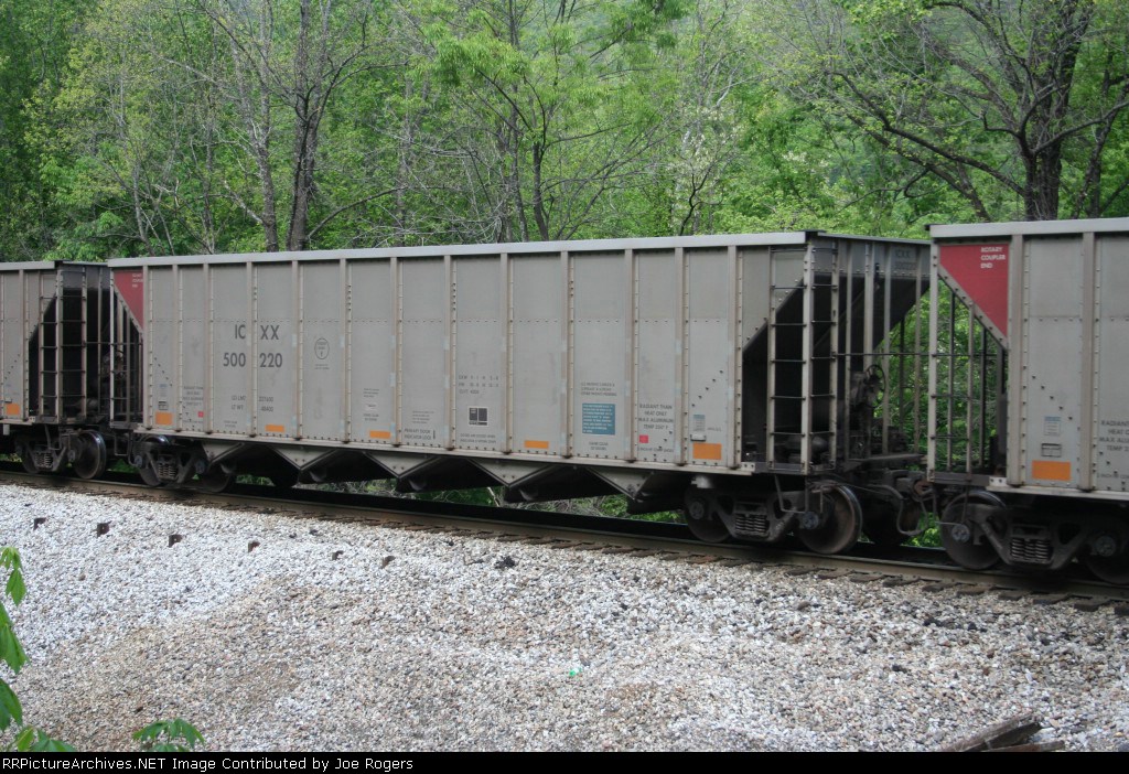 ICXX 500220