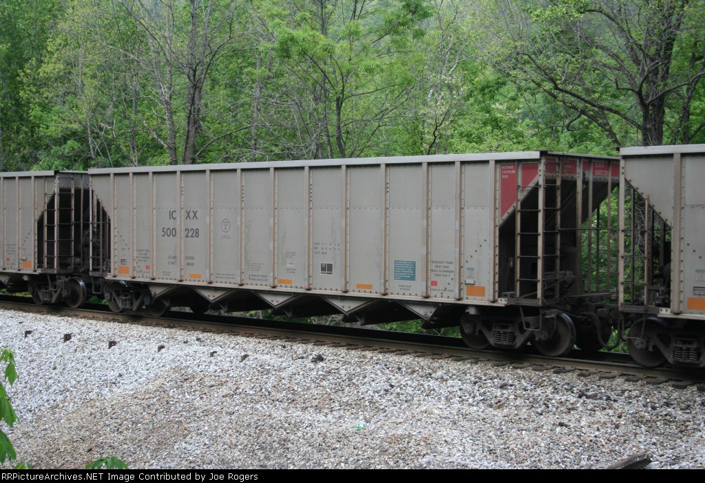 ICXX 500228