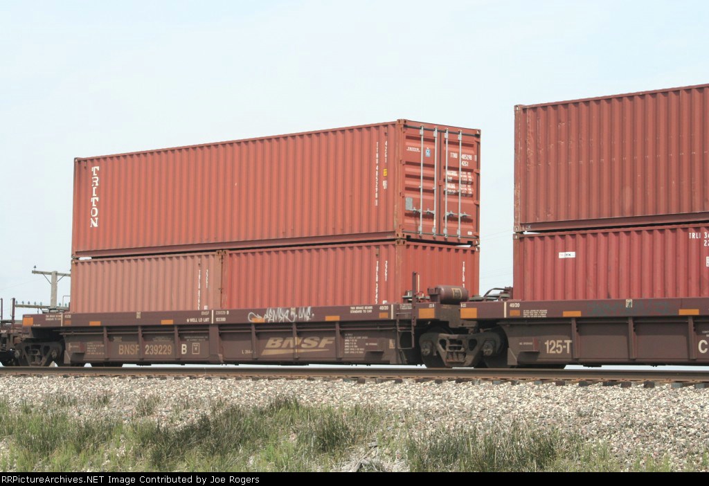BNSF 239229