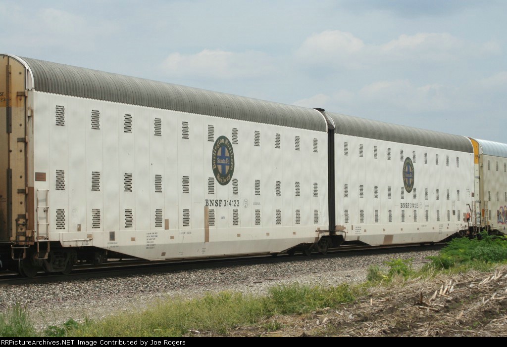 BNSF 314123