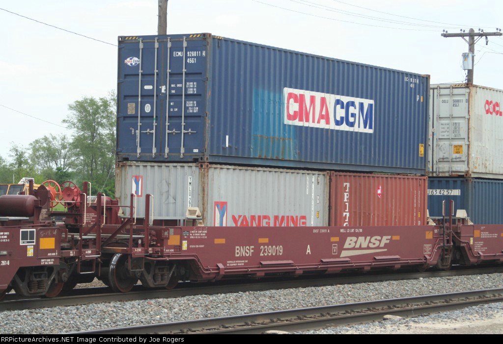 BNSF 239019