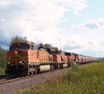 BNSF 4368