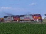 BNSF 8241