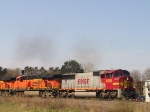 BNSF 8293
