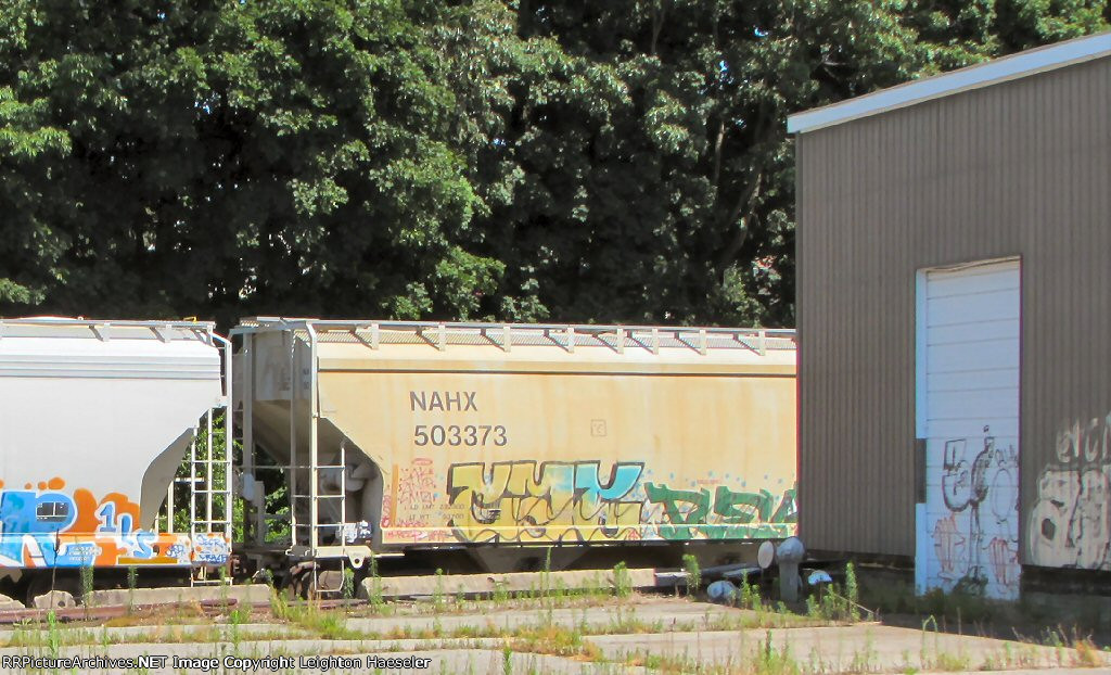 NAHX 503373