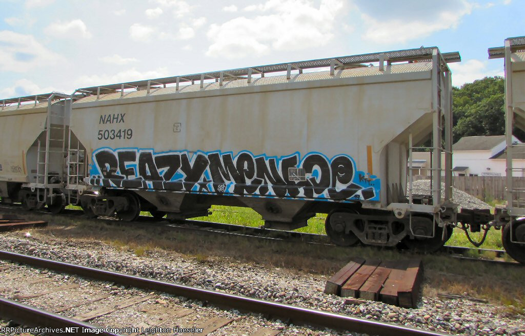 NAHX 503419