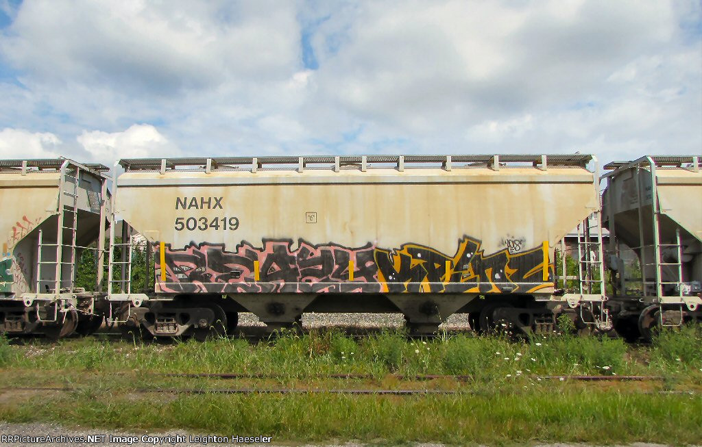 NAHX 503419