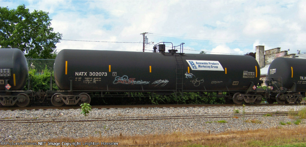 NATX 302073 in Renewable Products Marketing Group paint