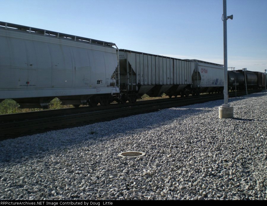 PTLX 14535