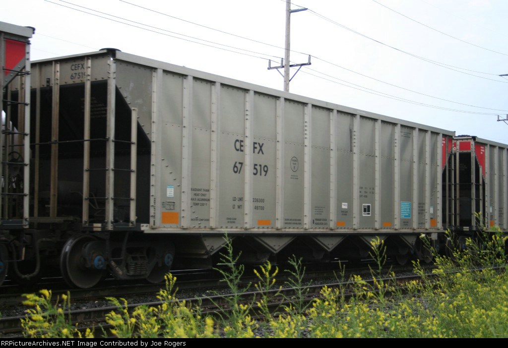CEFX 67519