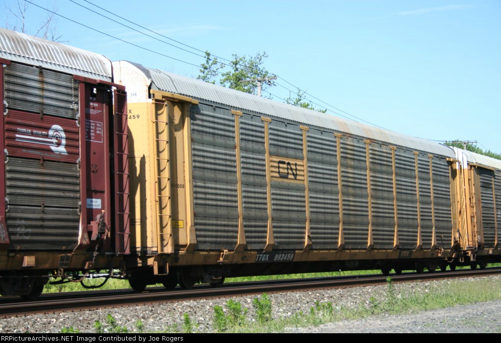 TTGX 993459