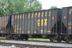 CSX 295989