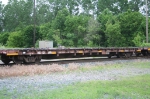 NS 101595