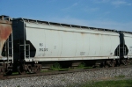 NS 293203