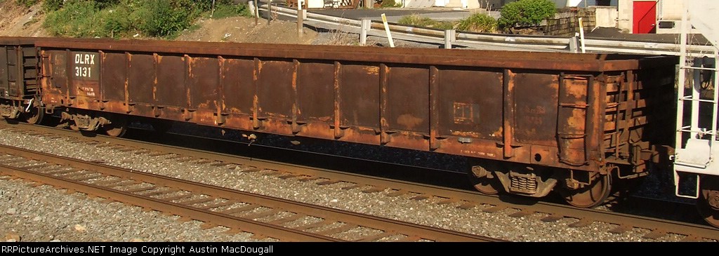 DLRX 3131