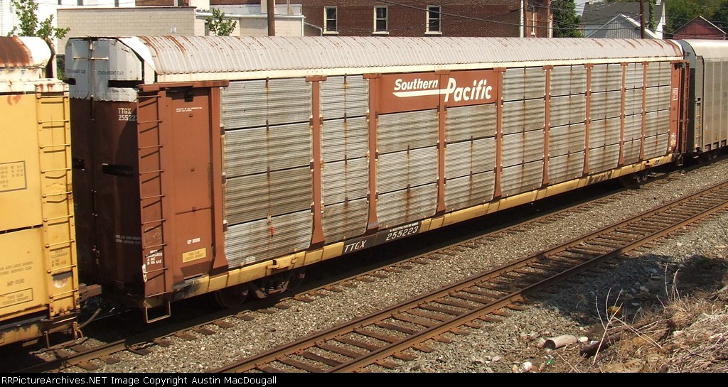 TTGX 255223