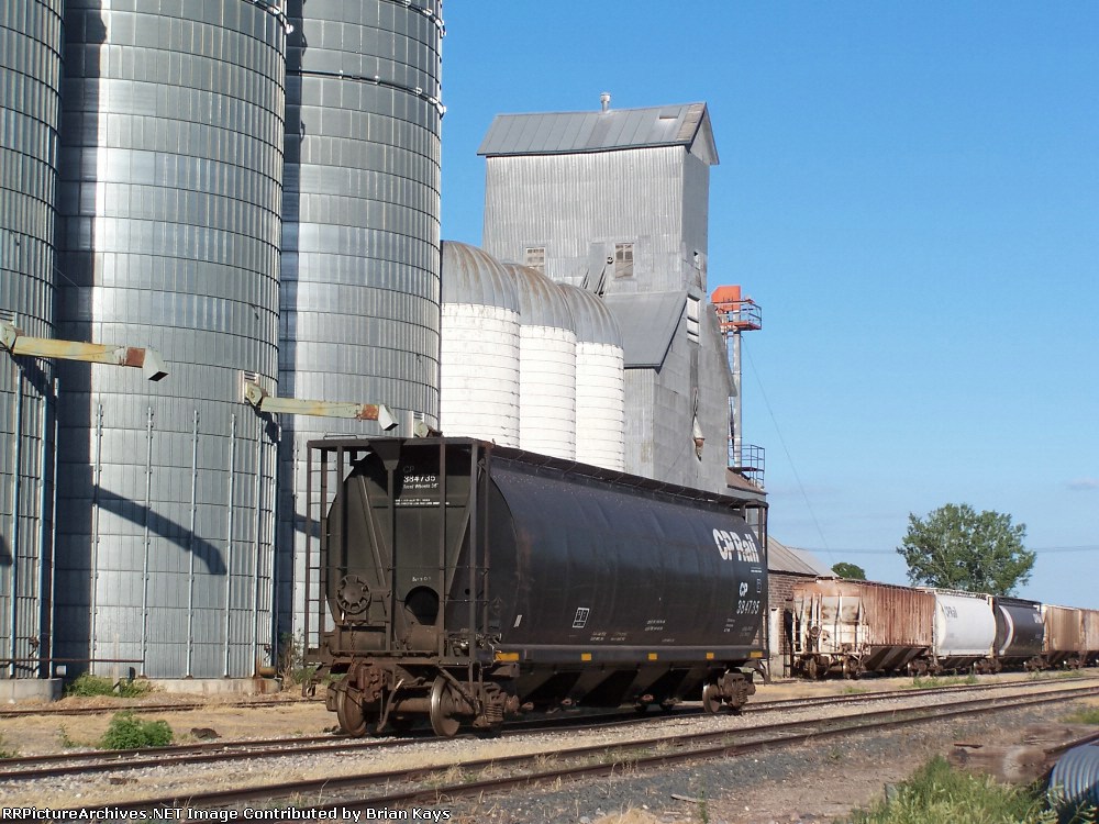 CP 384735 at the Oklee Farmers Coop
