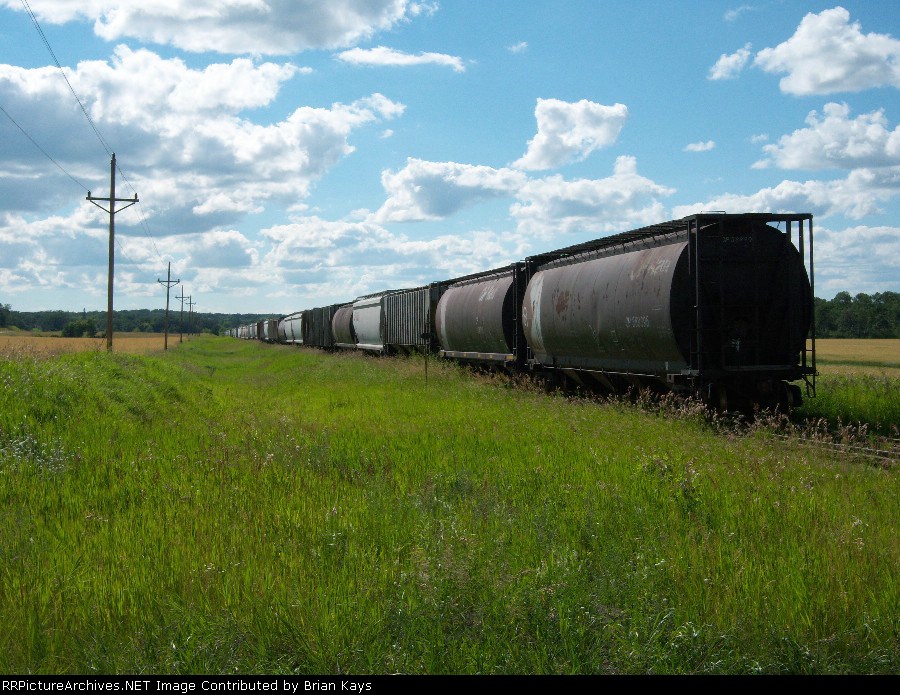 CP Grain Hoppers East of Trail, MN