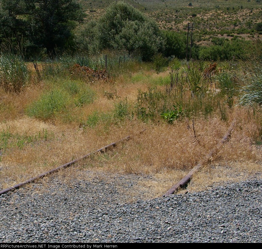 East Leg of UO's Wye