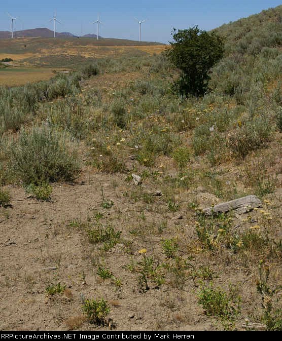 Looking West along the BC&T