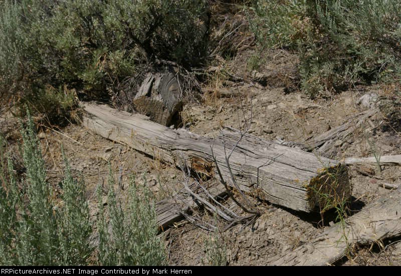 Old Ties Have Been Sitting in the Sun a Looooong Time