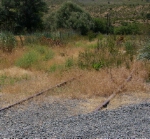 East Leg of UO's Wye