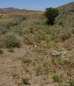 Looking West along the BC&T