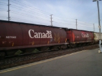 CP 606374