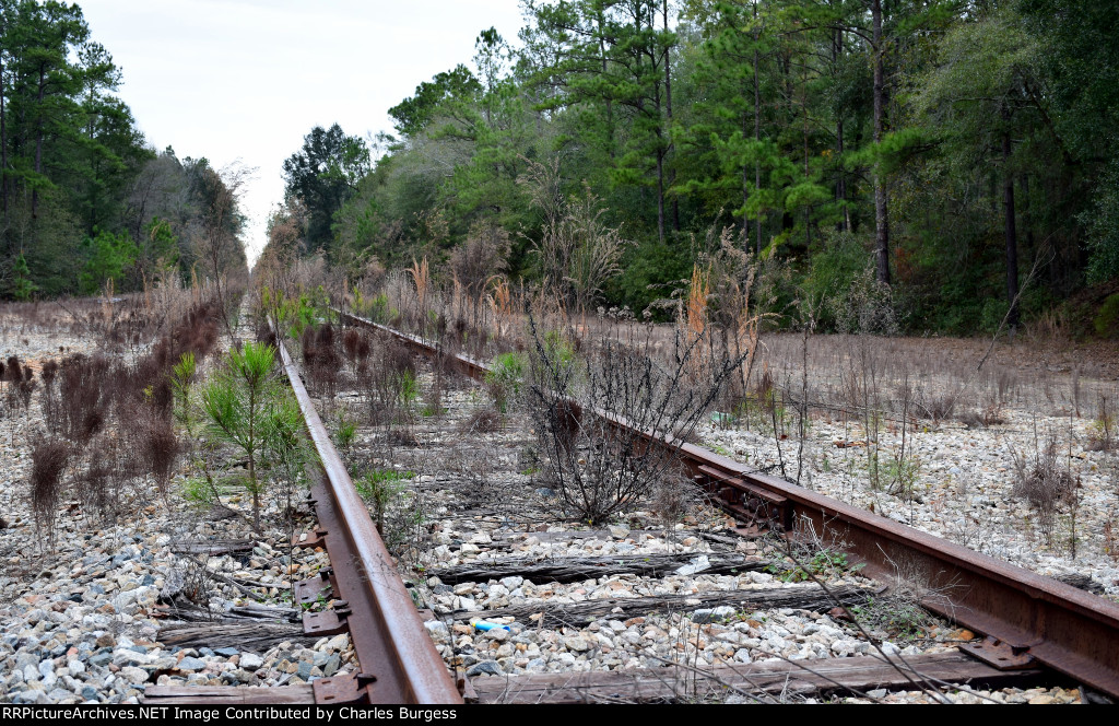 Bainbridge Subdivision