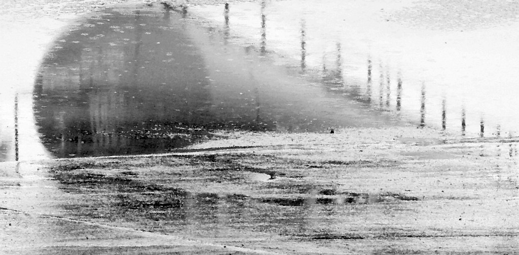 DUPX 29666 sinking into oblivion