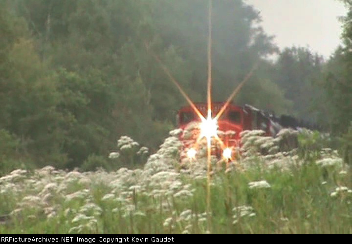 CN 406 east of Salisbury