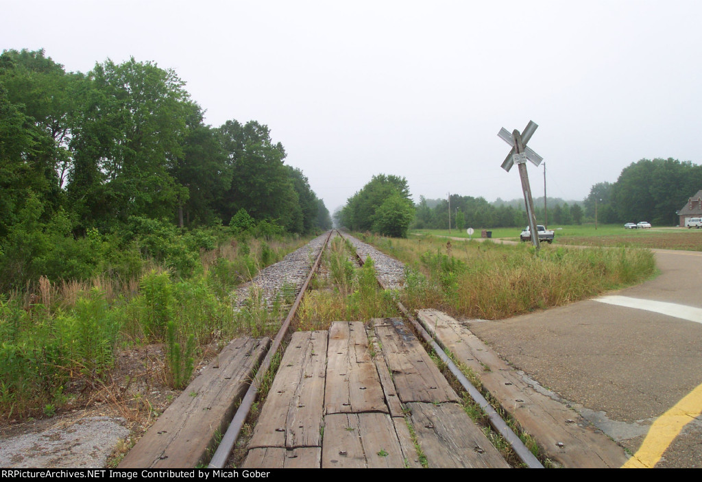 Looking North from Way Road
