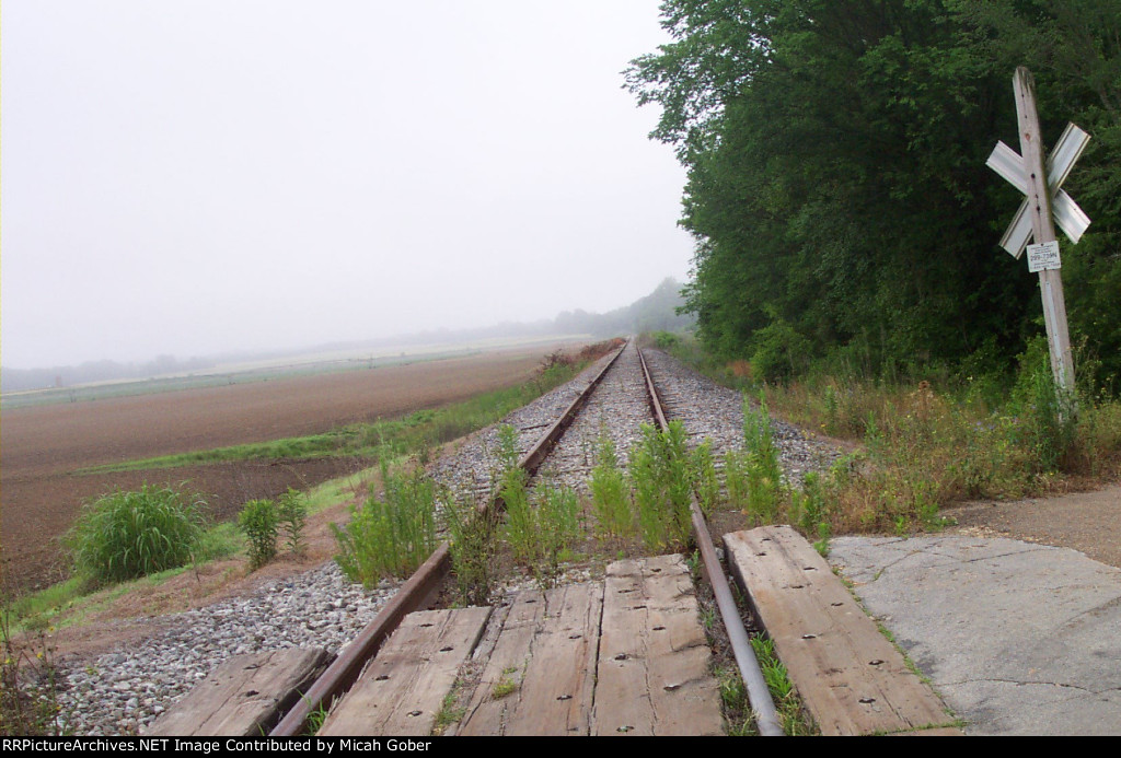 Looking South from Way Road toward Sumrall Farms