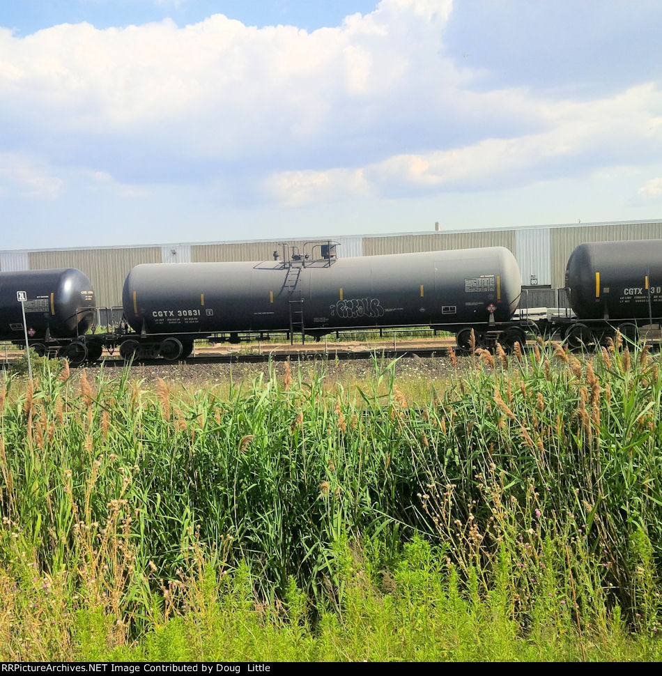 CGTX 30831